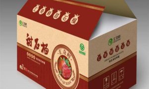 纸塑包装选型指南：廊坊双腾实力解析缩略图