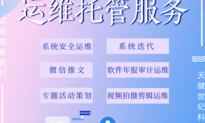 四川运维服务系统哪家合适 助力企业高质运维保障缩略图
