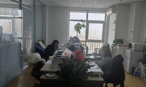 北京资质新增公司的实践参考缩略图