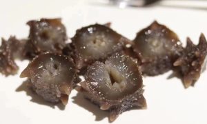八马茶宁记集珍堂康平街店：长春茶品礼饮之选缩略图