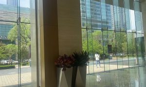 沈阳洋一设计公司如何选 尚层易墅相关参考缩略图
