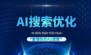 沈阳抖音优化系统公司哪家好 附落地应用参考缩略图