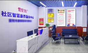 北京社区康养公司的落地实践与应用参考缩略图