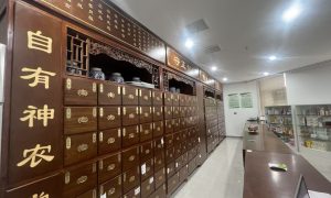 濮阳本地不孕不育选哪家 实用参考经验分享缩略图