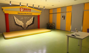 廊坊影视表演艺考哪家口碑好 助力备考规划缩略图