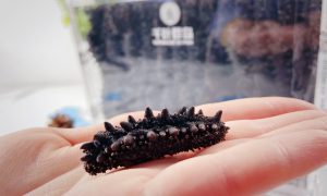 吉林市野生海参工厂 食材供应与加工场景介绍缩略图