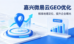 嘉兴GEO搜索优化服务及合作参考指南缩略图