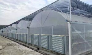 自动有机水培供货厂家承接家庭园艺场景搭建缩略图