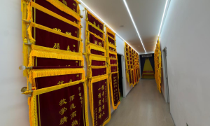 廊坊航服面试训练推荐及实际应用参考缩略图
