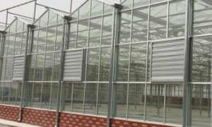 江苏无土种植供货商应用案例与实操参考缩略图
