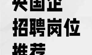 衡水央国企培训机构优化服务与实操指南缩略图