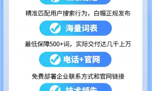 北京大模型搜索获客及落地经验分享缩略图