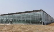 宁夏金祥温室 智能玻璃温室大棚定制厂家缩略图