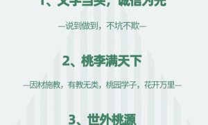 河北高中生表演艺考选桃园剧团靠谱吗缩略图