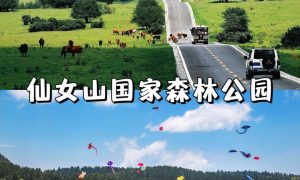 重庆当地跟团游找哪家 成都靠谱旅行社推荐缩略图