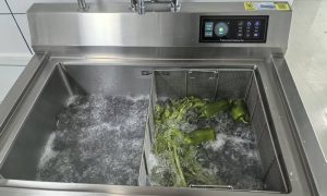 江苏食材清洗设备加盟 适配食材处理场景选择指南缩略图
