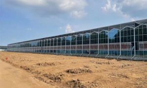 新型智能阳光板温室选型参考 含实际落地应用经验缩略图