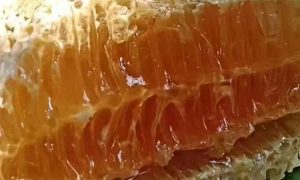 云南蜂蜜贴牌，找靠谱厂家更划算缩略图