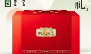 长春真空包装烤鹅 年货送礼推荐缩略图