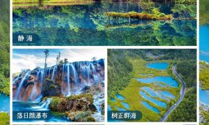 成都九寨沟六日游哪家好 正规旅行社推荐避坑指南缩略图
