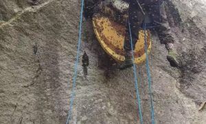 云南纯蜂蜜源头供应商梳理缩略图